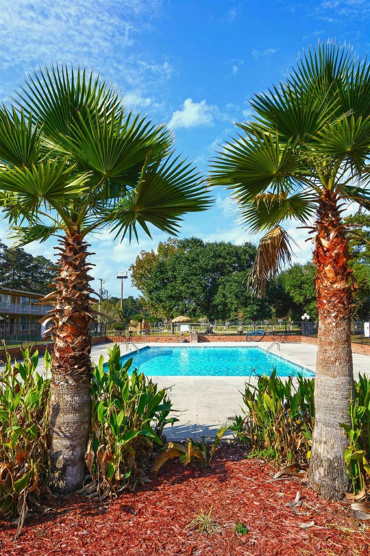 Motel 6 Hammond, La - I 12 - I 55 Exterior photo